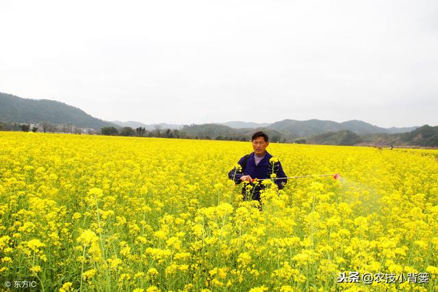 防治禾本科和阔叶类杂草，这些除草剂常见常用、低毒安全又高效！7