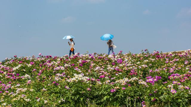 民生花千骨信用卡