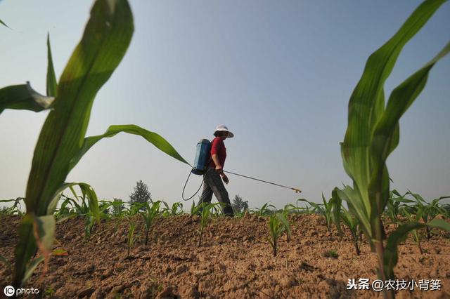 草甘膦与草铵膦同属广谱、高效、灭生类除草剂，差别竟然这么大6