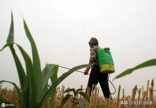 草甘膦与草铵膦同属广谱、高效、灭生类除草剂，差别竟然这么大