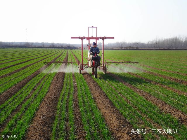 小麦冬前除草用药配方公布！对付顽固杂草，这样用药效果好！