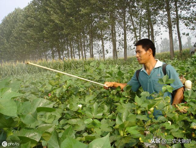 作物病虫害严重，不知道用啥药怎么办？最新指南，名单大全！10