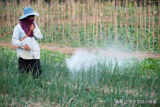 兼有杀菌+治疗作用、可防治细菌真菌病毒病害，这种杀菌剂不简单14