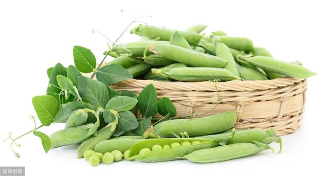豌豆病虫害的综合防治方法，4种主要病虫害的防治尤为重要