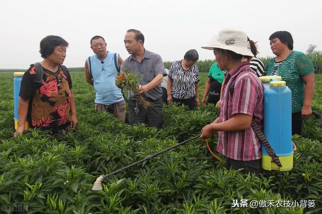 这种药物可以防治作物上的各类真菌性病害，而且用药效果特别好10