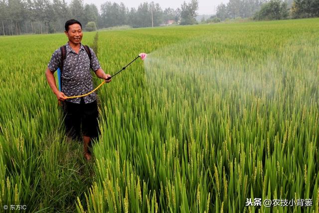 防治禾本科和阔叶类杂草，这些除草剂常见常用、低毒安全又高效！