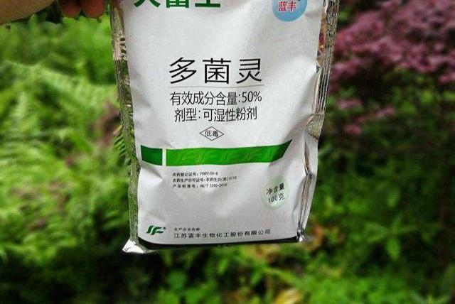 多菌灵、吡虫啉、磷酸二氢钾，用法对了，效果好10倍2