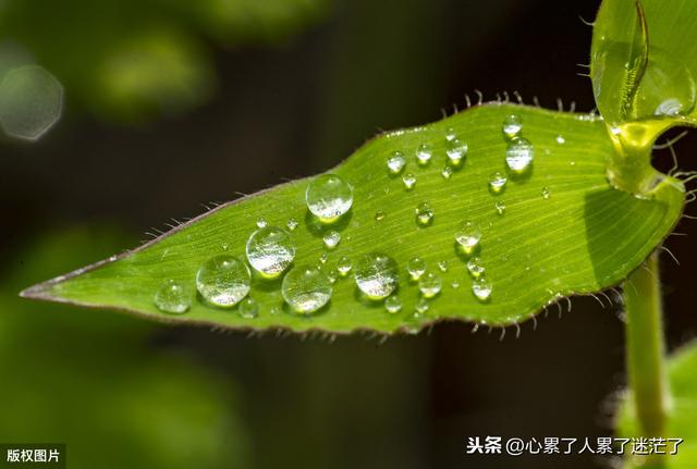 简单而又幸福生活的句子:人生感悟的句子，简单生活才能幸福生活