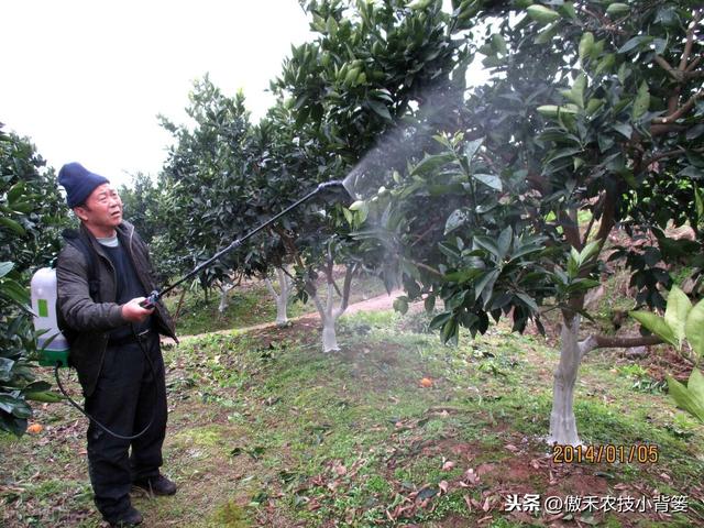 兼有杀菌+治疗作用、可防治细菌真菌病毒病害，这种杀菌剂不简单11