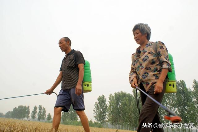 兼有杀菌+治疗作用、可防治细菌真菌病毒病害，这种杀菌剂不简单10