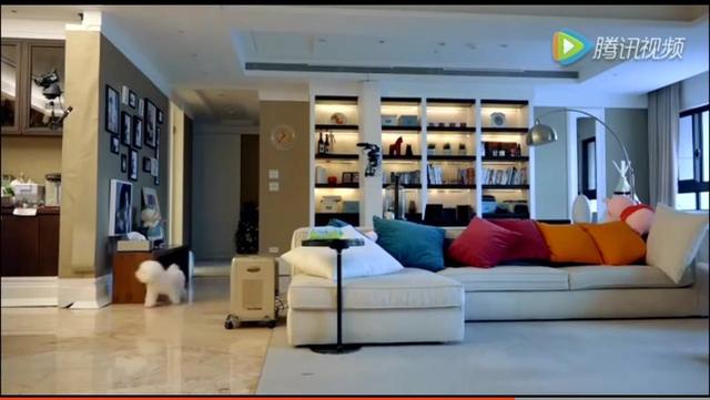 「重大通报」贾静雯台湾的家——贾静雯台湾电视剧