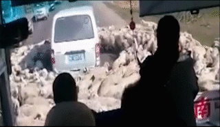 尔可识得此阵