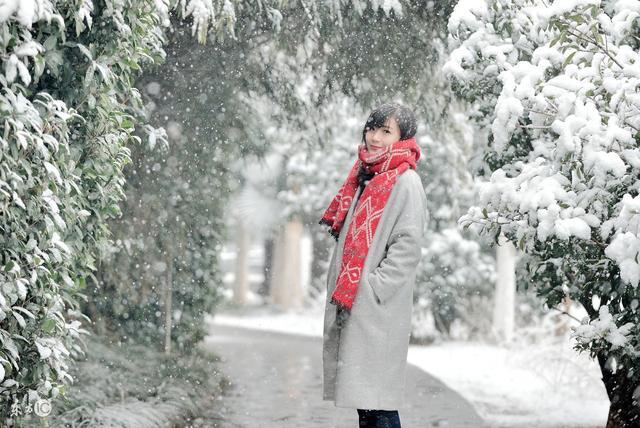 美女为得到总裁的心「美女总裁」