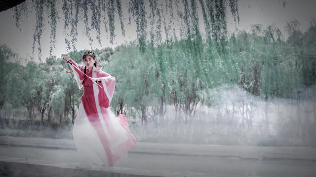 「求扩散」会跳舞的小龙读后感,爱跳舞的小龙读后感