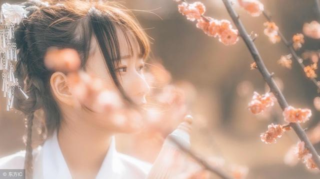 小说宝眸全文免费阅读(小说宝瞳最新章节)