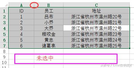 excel 表格如何调整行高和列宽（Excel 快速调整行高列宽的技巧）(9)