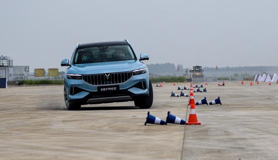 轴距近3米，总扭矩1040N·m，售价31.36万起，解析岚图FREE