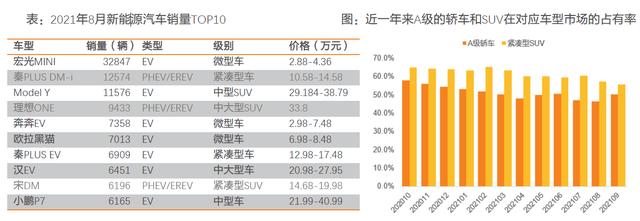 2021年国内新能源汽车市场分析