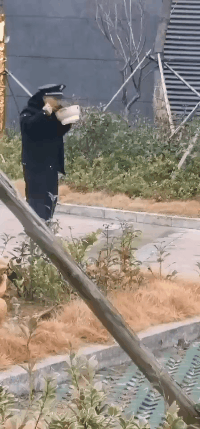 爆笑GIF动态图：导弹这走位骚啊，啥反导也防不住