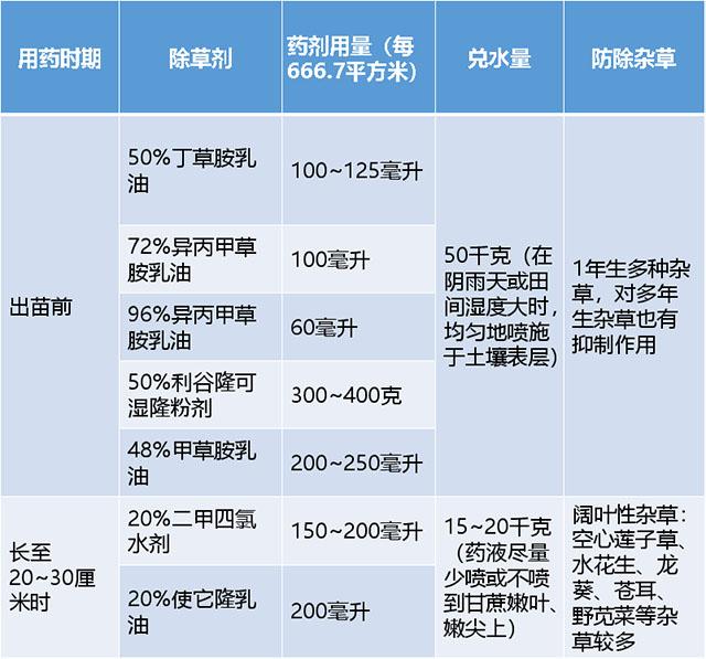 五分钟农技课：甘蔗除草，如何选药？7