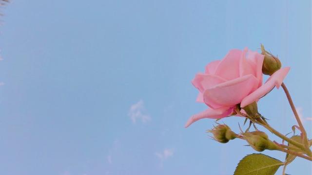 九言 | 如果命运是一条孤独的河流，谁会是你的灵魂摆渡人？