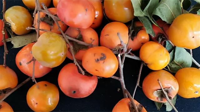 九月养生谨记“345黄金原则”，“三不吃，四注意，五相伴”秘诀