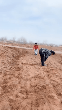 搞笑GIF趣图：孩子你这顿操作，让牛顿很没面子！