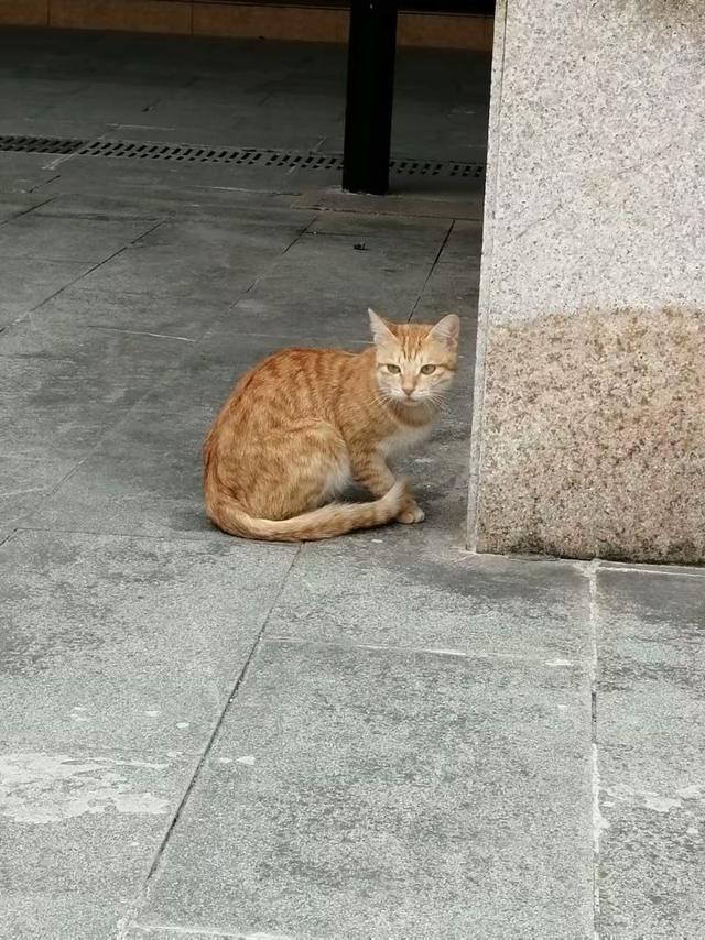 清泉古寺