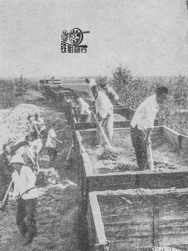 舞钢新型石灰石破碎机