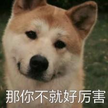 宠物狗的名字