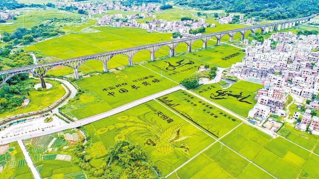 汕尾洗砂脱水一体机