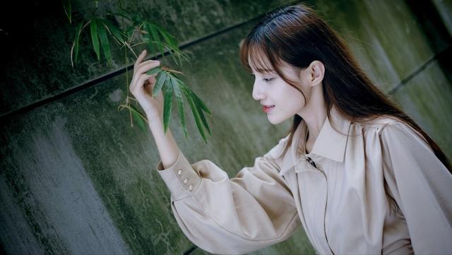 火海凌云火海凌云删减家教