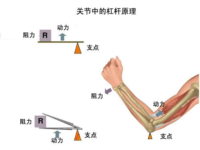 握力器的作用