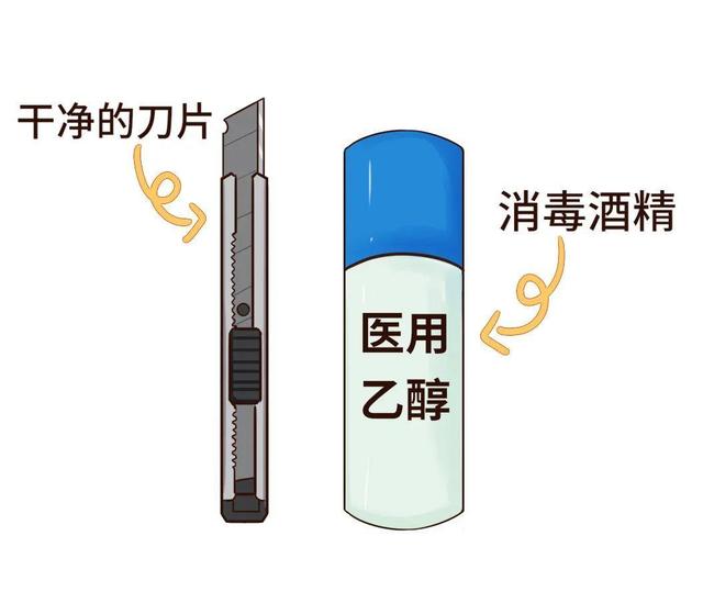 长寿花养殖方法