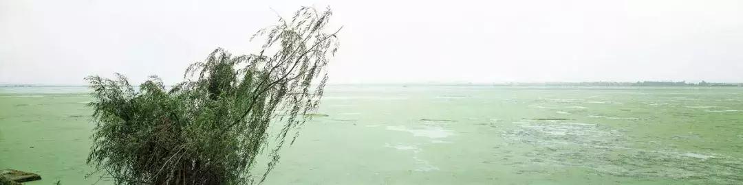 河津易拉罐破碎机厂家
