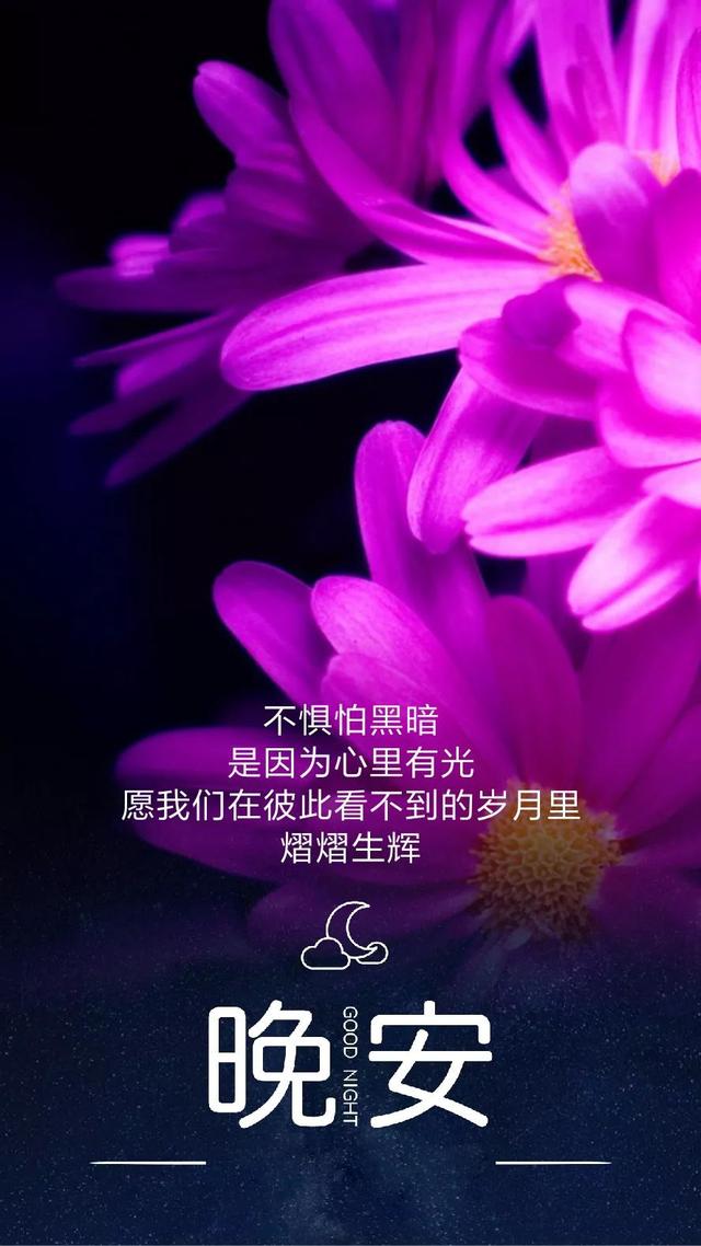 晚安语190402：时间有限，来不及去惦记心里没我的人