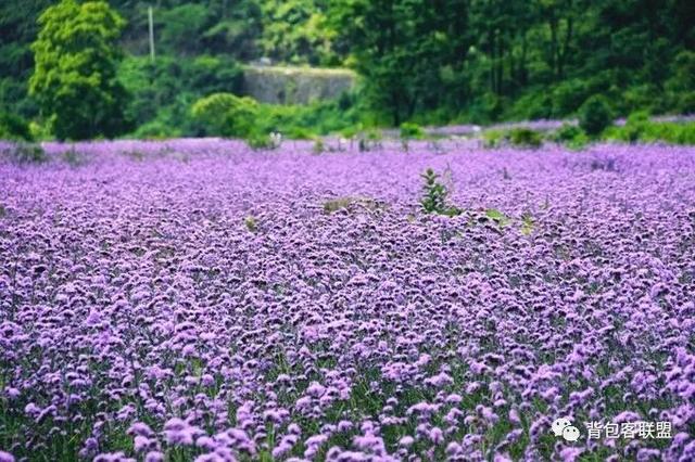 7月份适合去哪里旅游国内