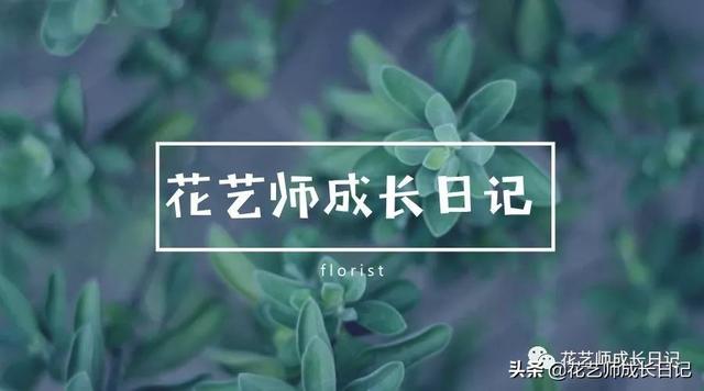 玫瑰花送几朵代表什么（玫瑰花几朵代表什么意思）