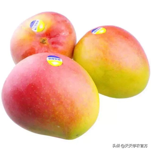 普洱单缸圆锥破碎机哪家价格便宜