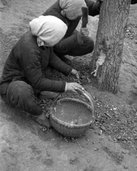 河南大灾旱42年～43年