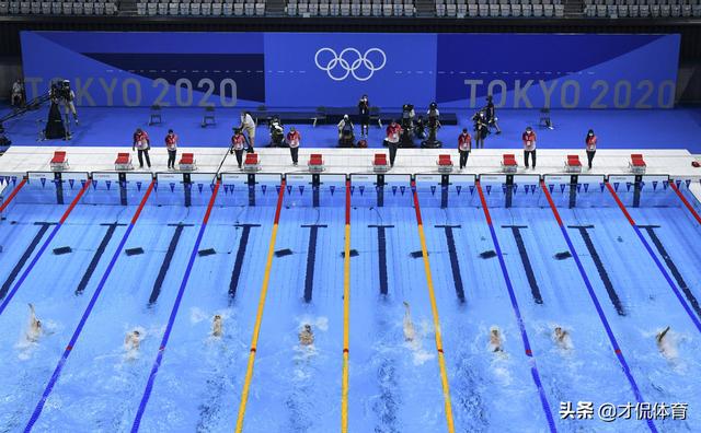 东京奥运会33个大项，哪些好看？哪些一般？哪些鸡肋？星级全排名
