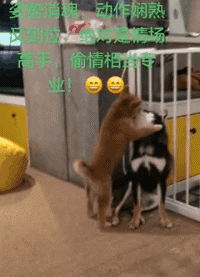 爆笑的动态图:论骚气,我只服这位大哥