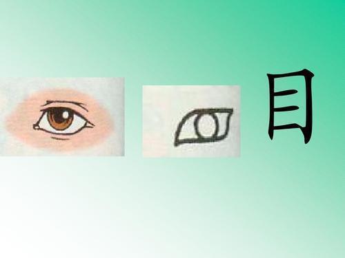 目的组词有哪些词语些小学一年级语文口耳目