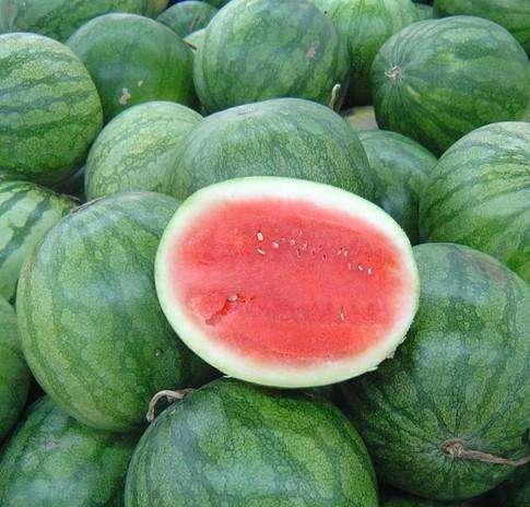 西瓜的种类 西瓜的种类（西瓜的种类有几种） 生活