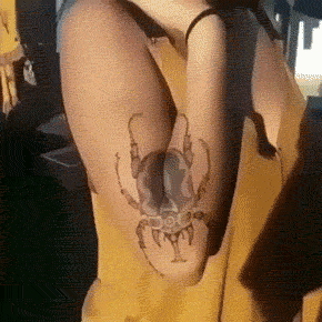 邪恶gif动态美女：妹子扭的很好看！