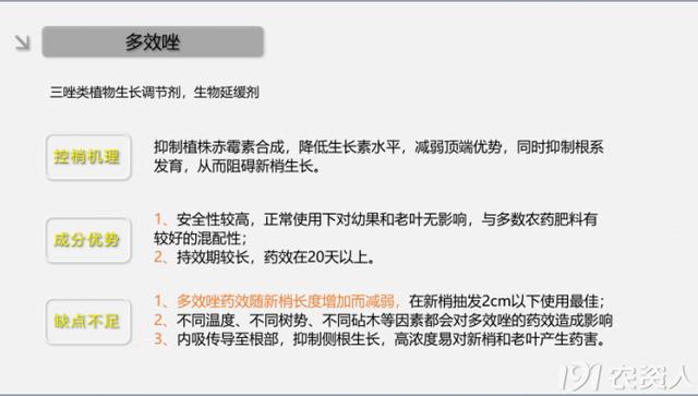 春夏柑橘常见病虫害及防治方案4