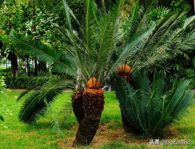 攀枝花旅游景点大全