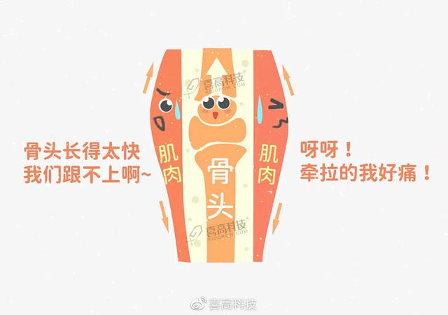 生长痛意味着要长个吗？孩子腿疼需区分这几种情况