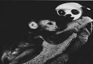 “抱抱”是孩子心头的暖宝宝，无论多大都需要