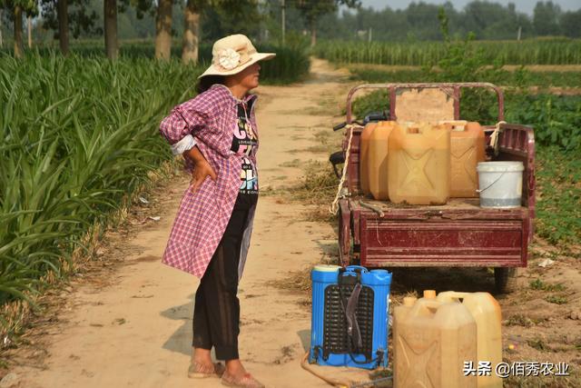 后百草枯时代，除草剂最厉害的是哪种？农民该怎么选？